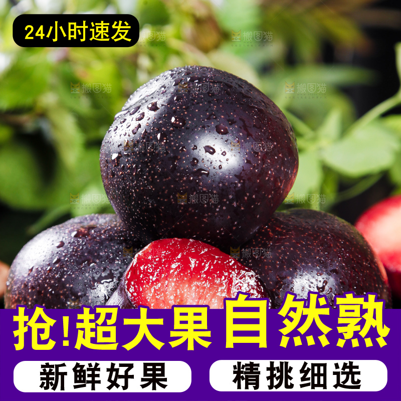 深底上摆放着恐龙蛋李