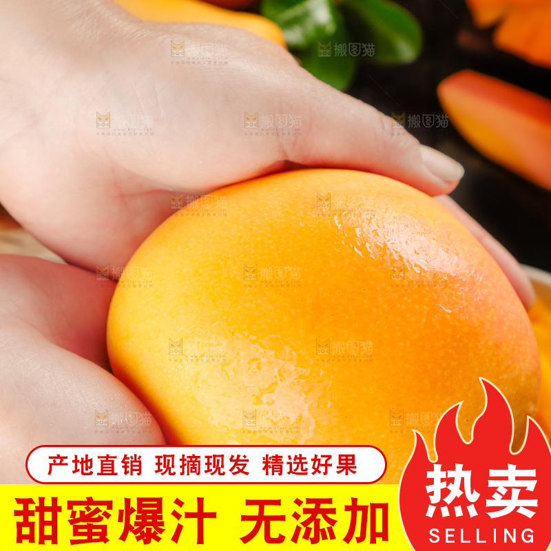手里拿着黄金澳芒
