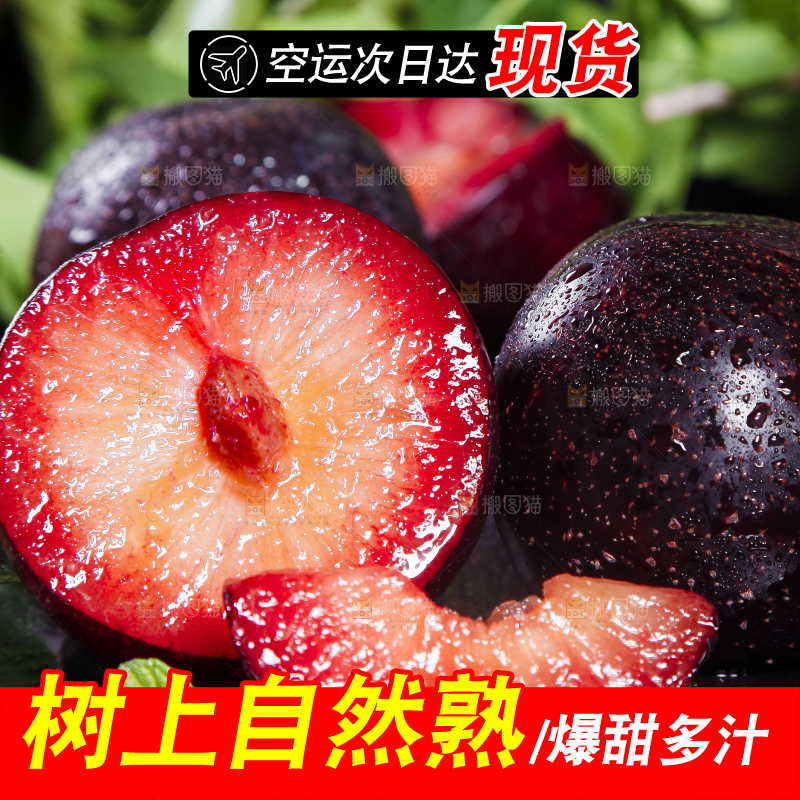 深底上摆放着恐龙蛋李