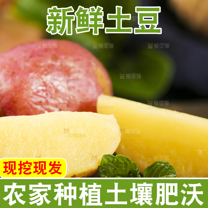 黑底上摆放着红皮黄心土豆