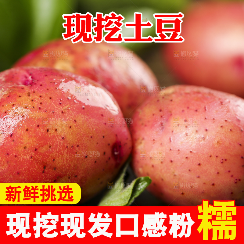 深底上摆放着红皮土豆