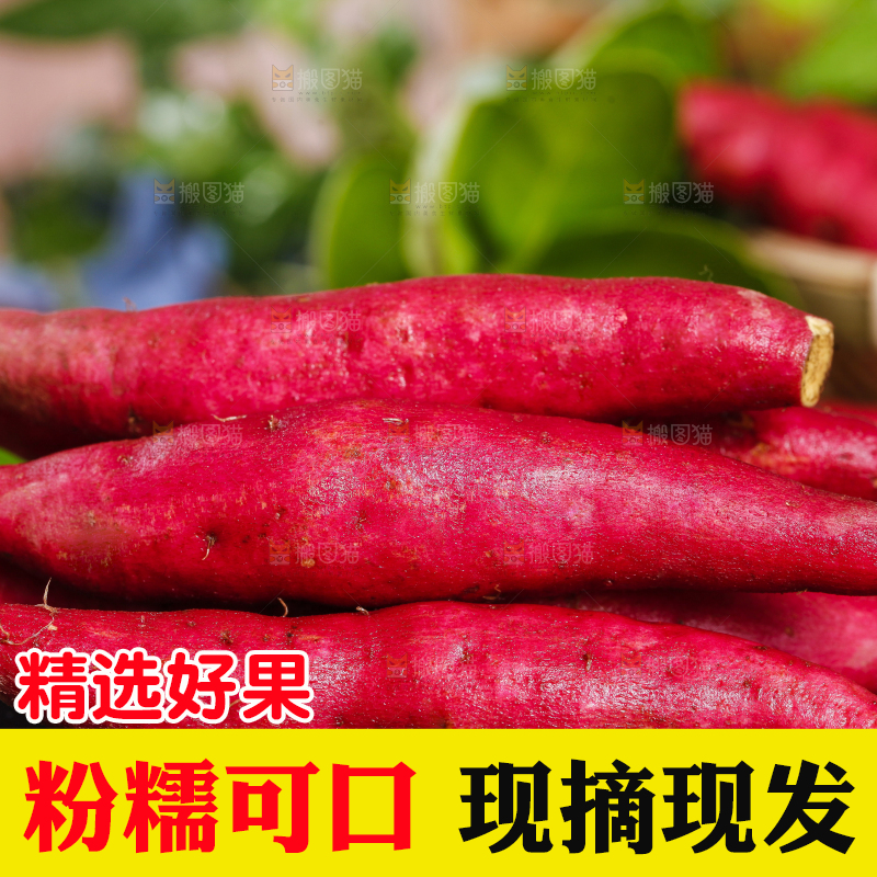 深底上摆放着小红薯