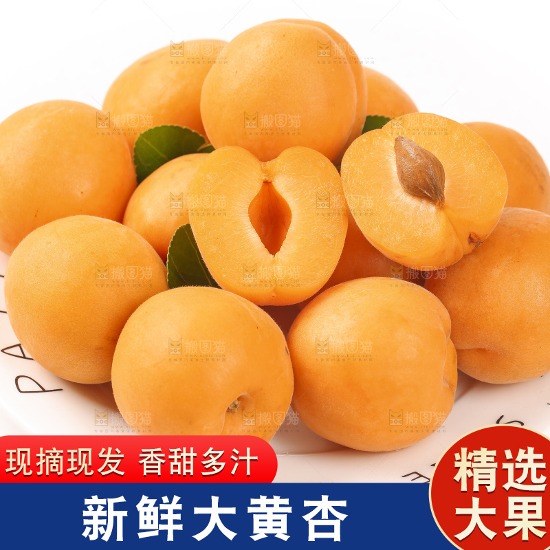 盘子里放着陕西大黄杏