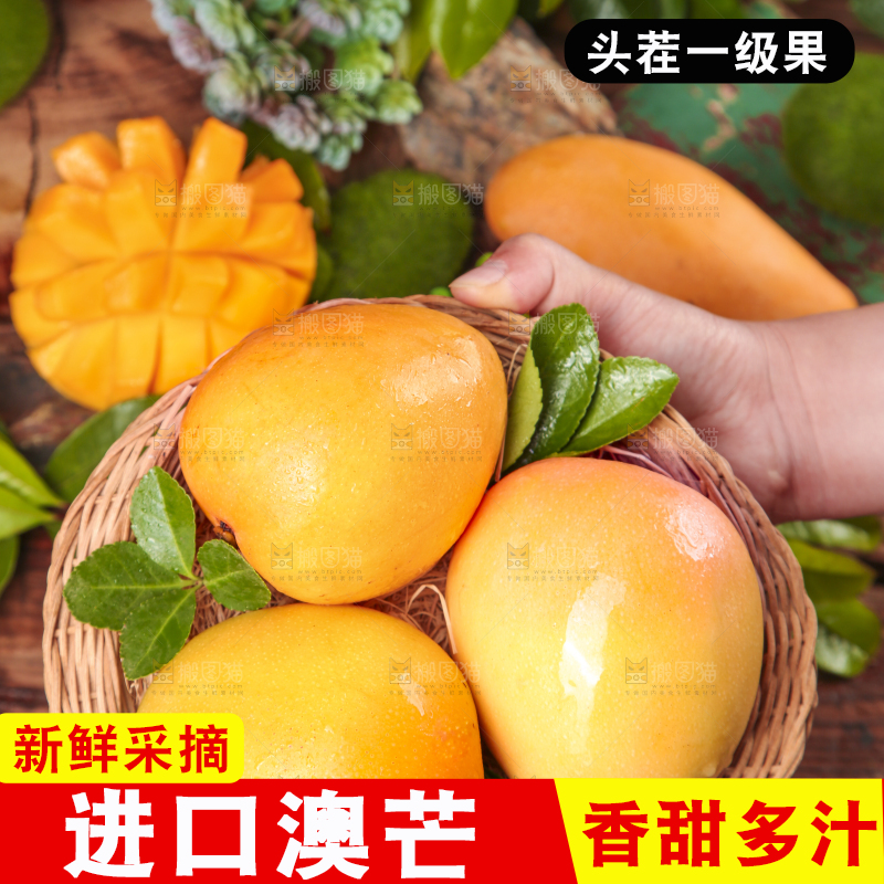手里端着一篮越南澳芒