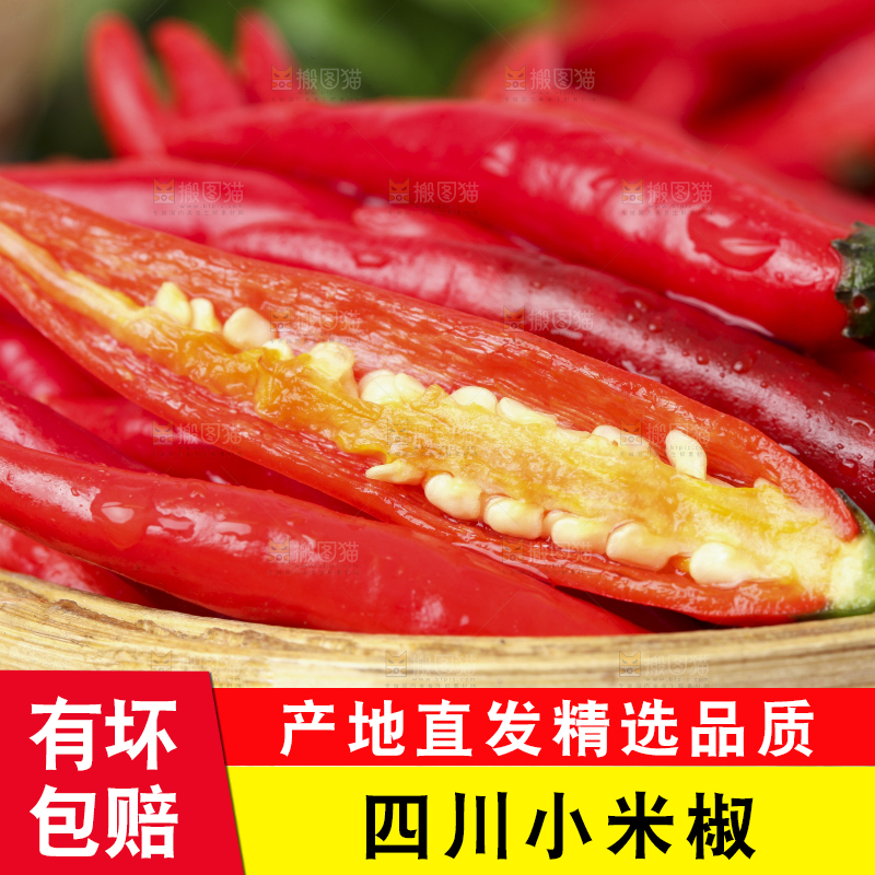 篮子里装着山东小米椒