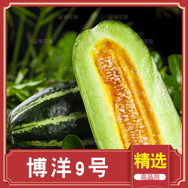 黑底上放着博洋甜瓜