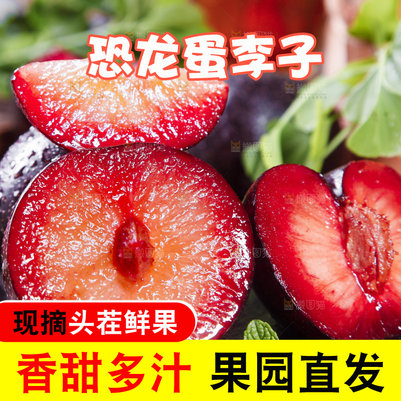 深底上摆放着恐龙蛋李