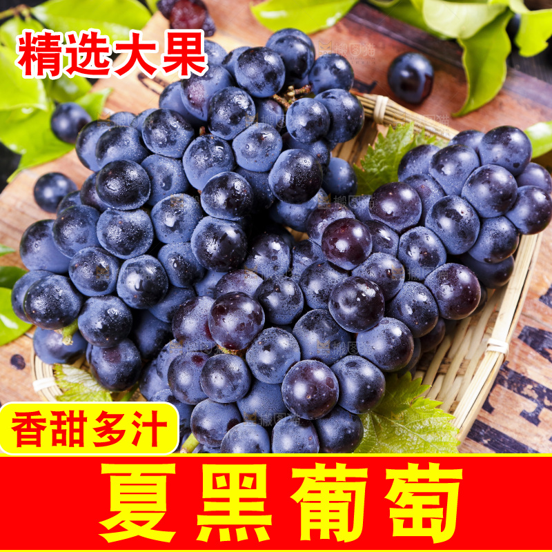 篮子里装着无籽黑提