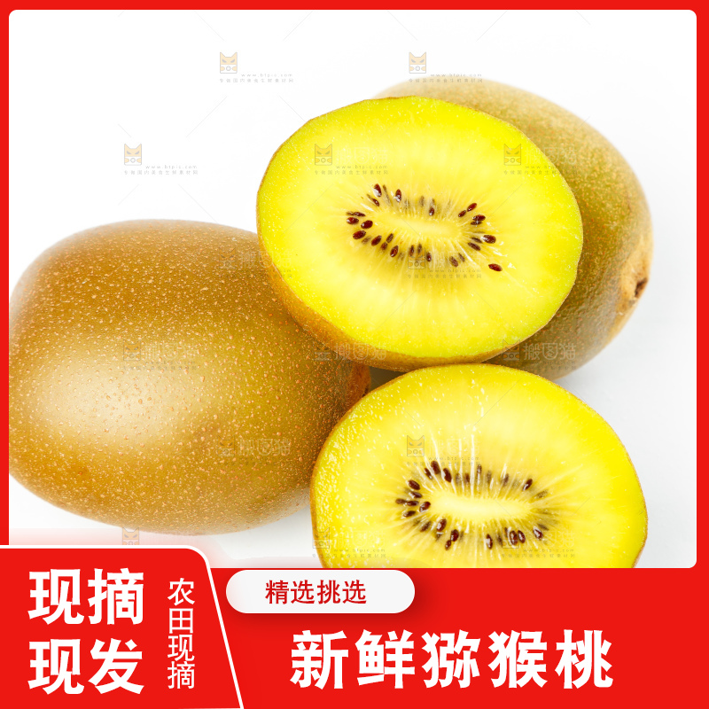 白底上摆放着新鲜黄心猕猴桃