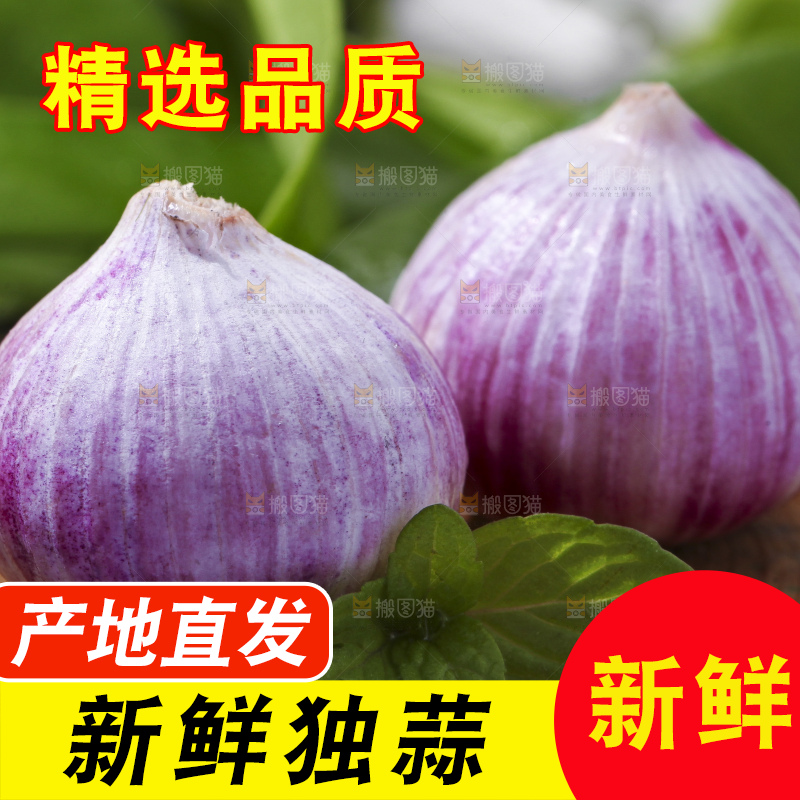 木底上摆放着云南紫皮独蒜