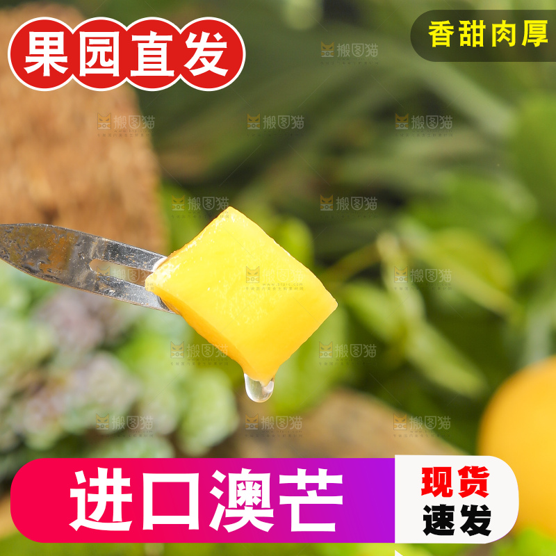 叉子叉着甜心芒的果肉