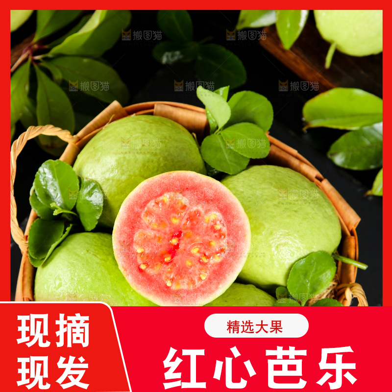 篮子里装着广西红心芭乐