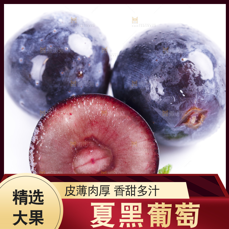 白底上放着夏黑加仑葡萄