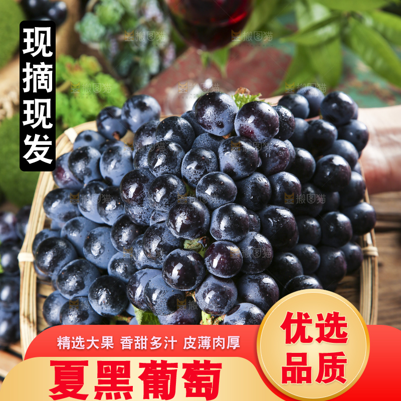 手里拿着一篮葡萄