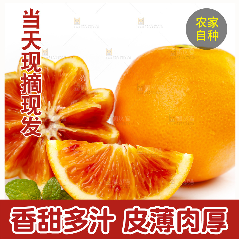 白底上摆放着血橙