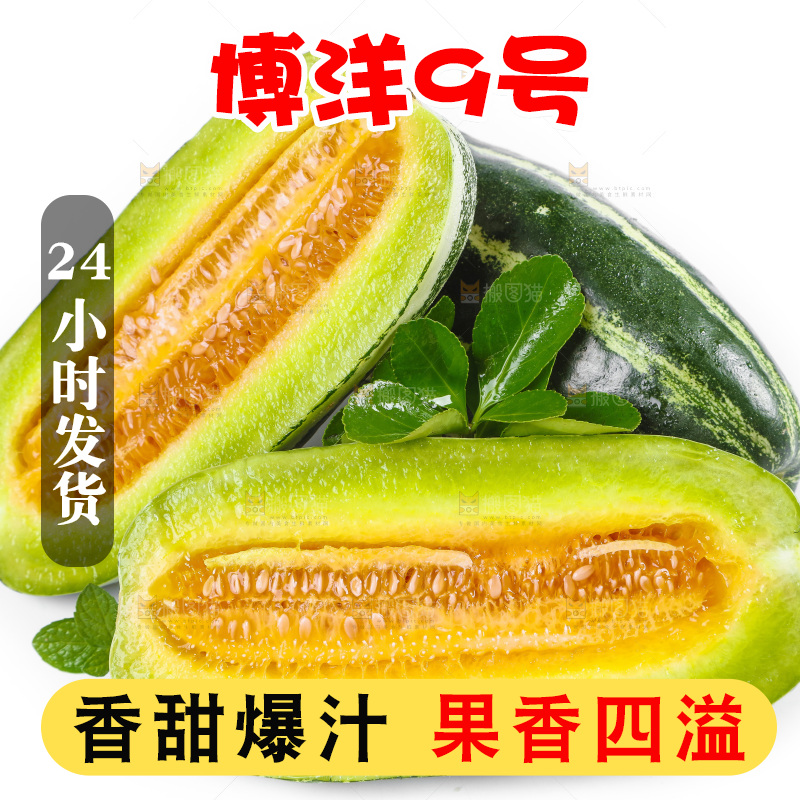 白底上放着博洋蜜脆甜瓜