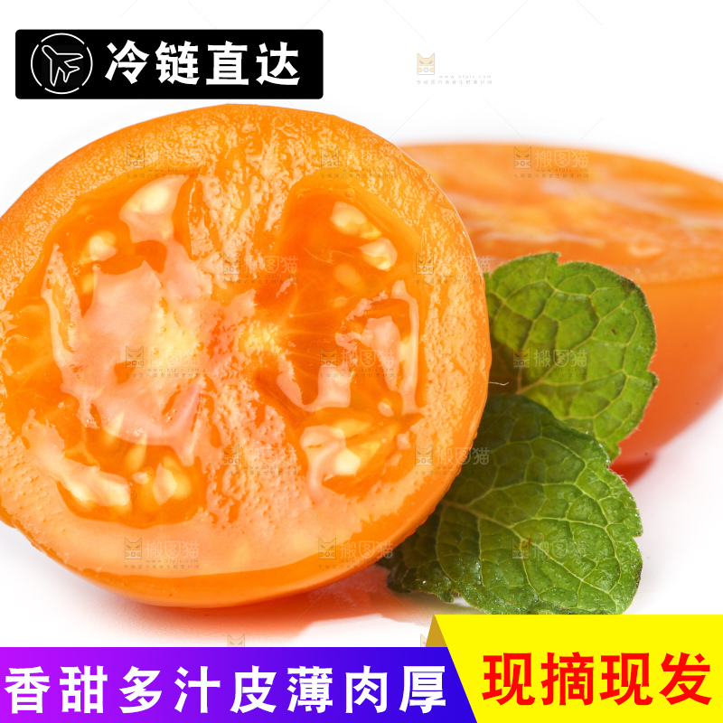 白底上摆放着山东黄金圣女果