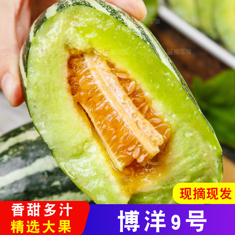 手里拿着美洋甜瓜