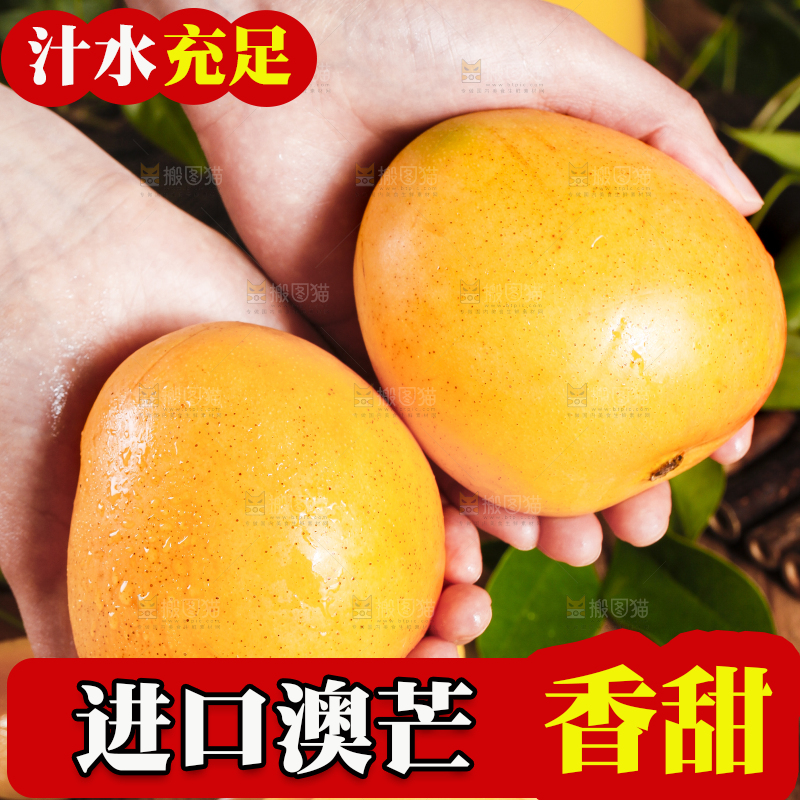 手里拿着新鲜澳芒