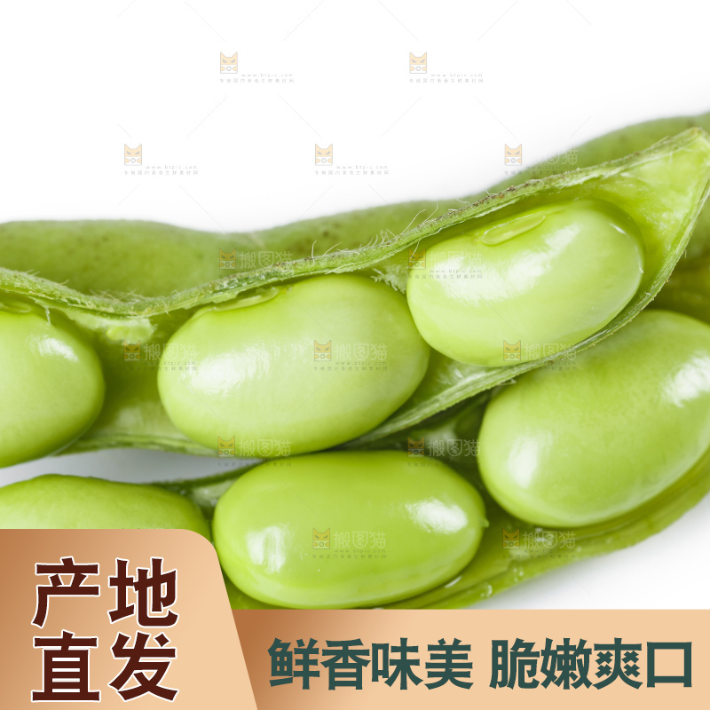 白底上摆放着毛豆角