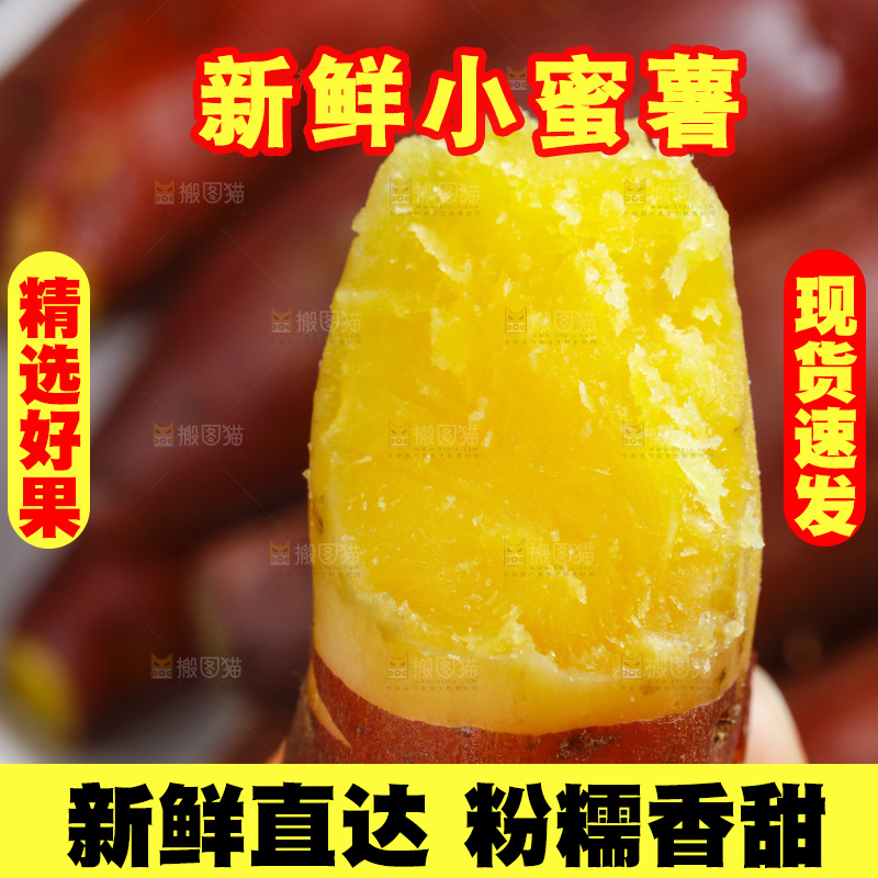 手里拿着天目山小香薯
