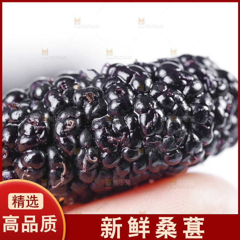 手里拿着一个桑葚