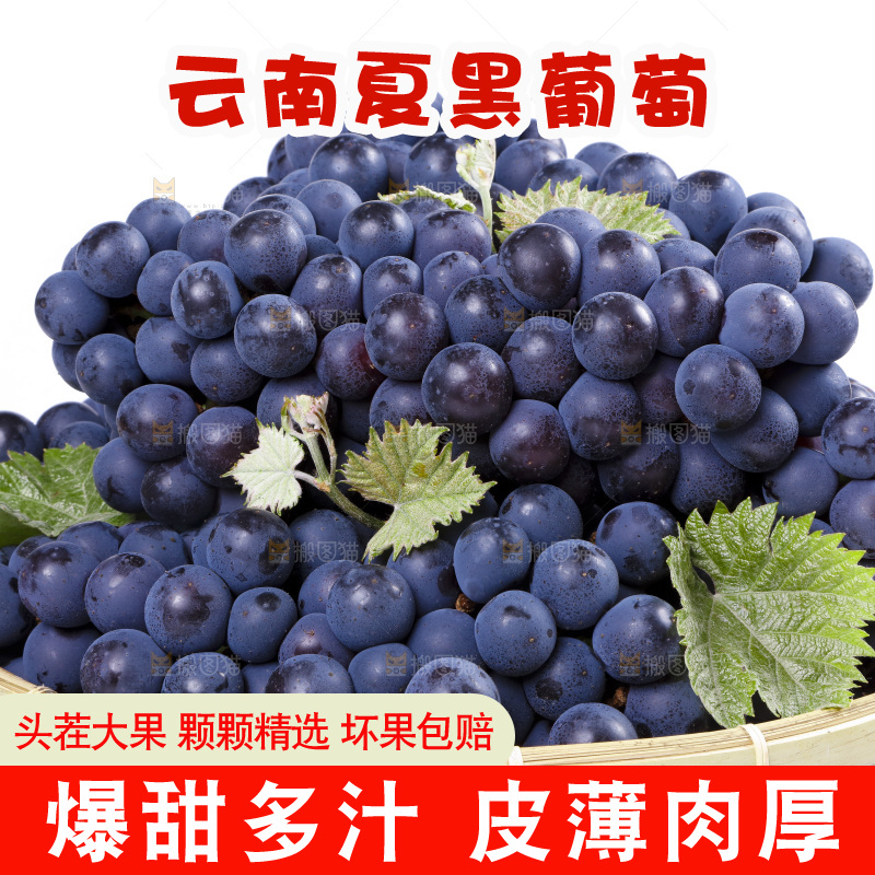 篮子里装着夏黑葡萄