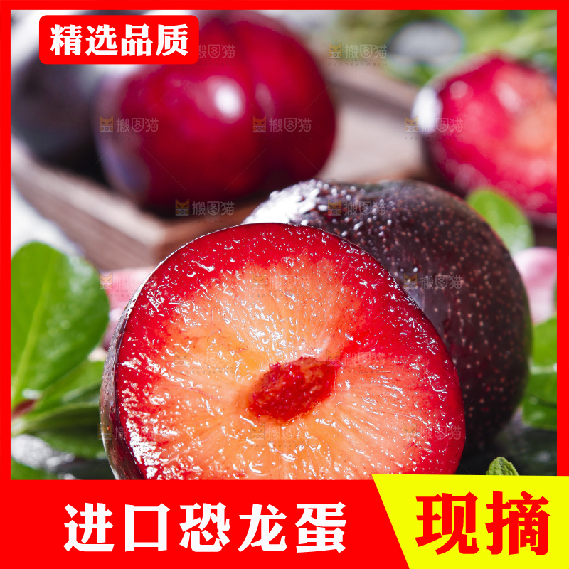 黑底上摆放着智利进口恐龙蛋