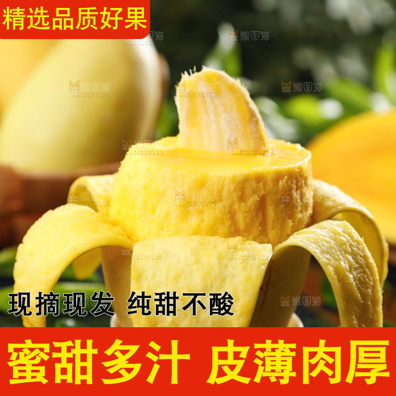 深底上摆放着玉芒