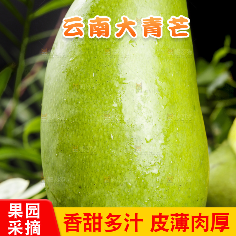黑底上放着大青芒