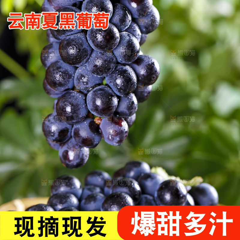 手里提着一串葡萄