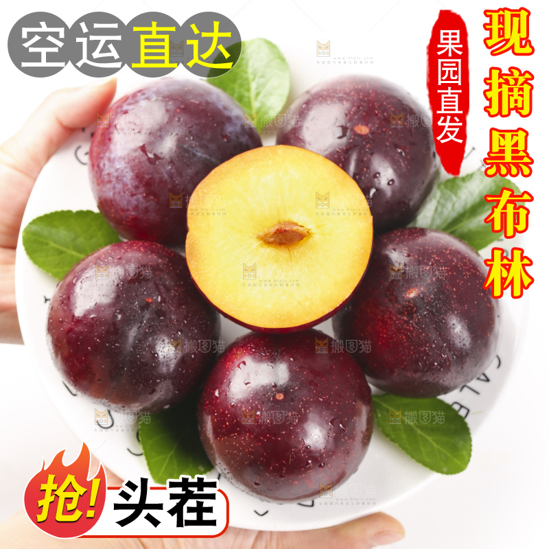 手里拿着一盘黑布朗