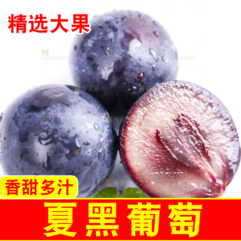 白底上放着夏黑加仑葡萄
