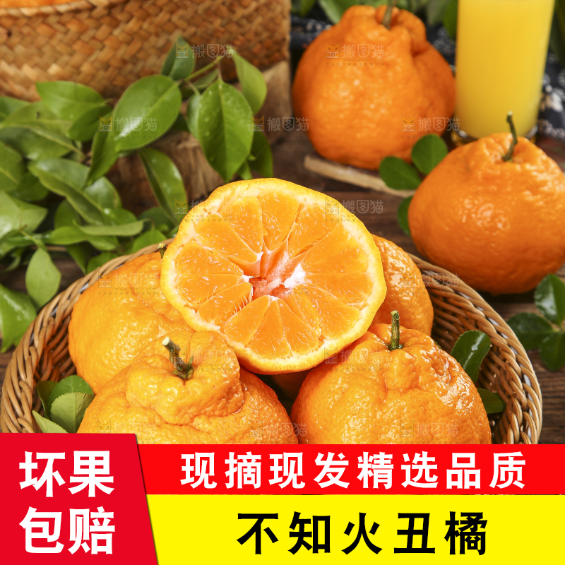 篮子里装着四川不知火丑橘