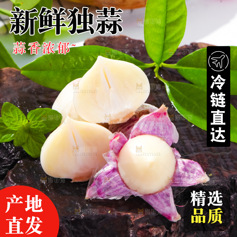 深底上摆放着紫皮独蒜