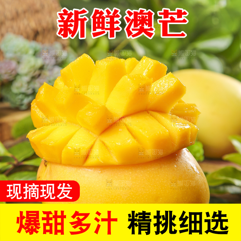 深底上摆放着澳芒