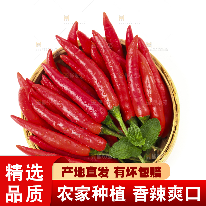 篮子里装着小尖椒