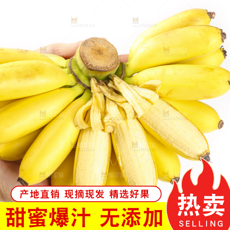 手里拿着新鲜小米蕉