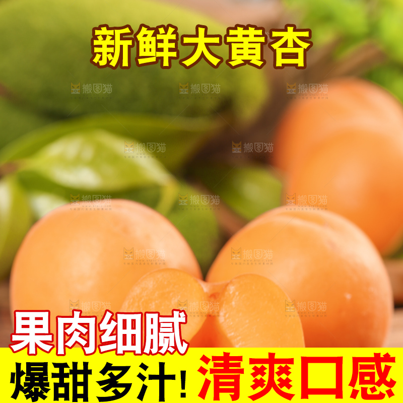 木底上摆放着烟台杏子