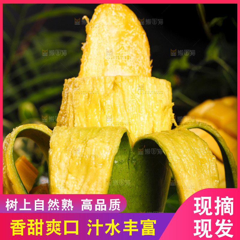 黑底上放着越南进口芒果