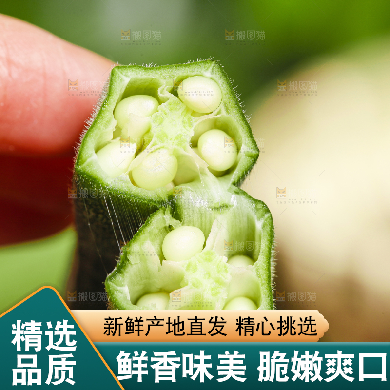 手里拿着秋葵