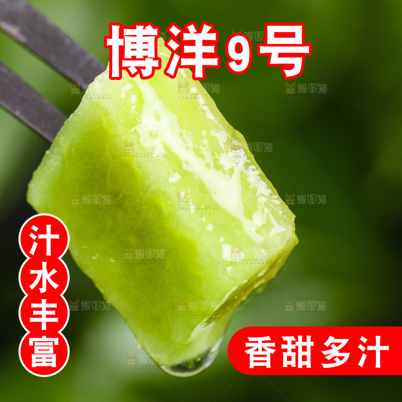叉子叉着一块羊角蜜甜瓜