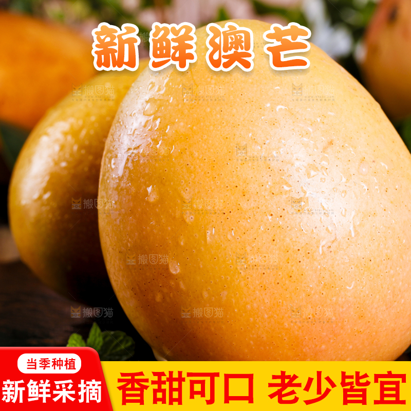 深底上摆放着澳芒