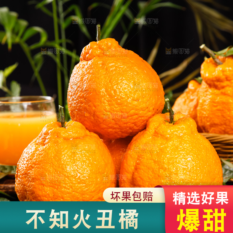 黑底上放着不知火丑橘