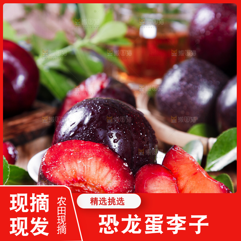 黑底上摆放着红心恐龙蛋