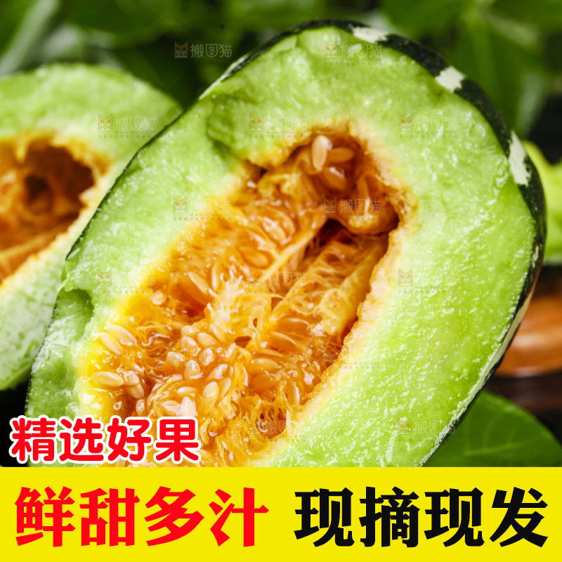 黑底上放着山东博洋9号甜瓜
