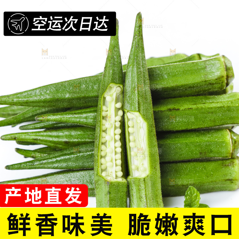 白底上摆放着秋葵