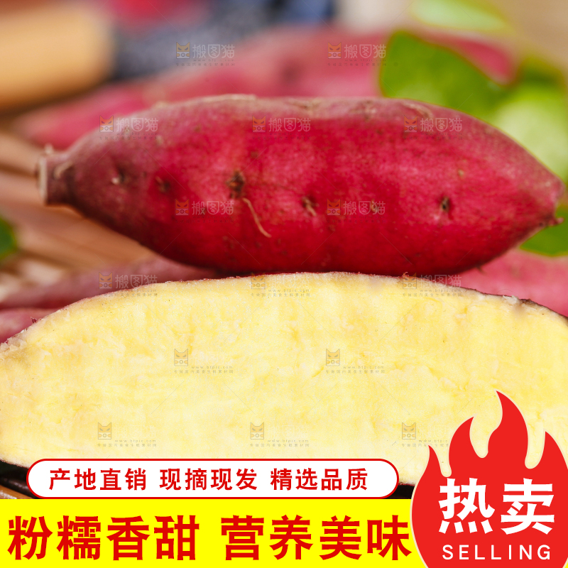 木底上摆放着小红薯