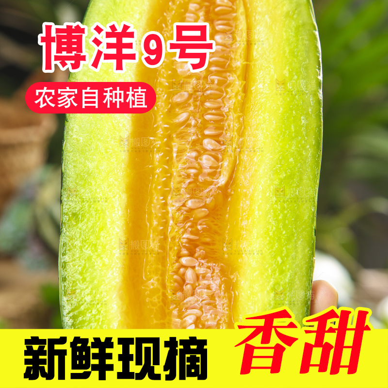 手里拿着酥蜜9号