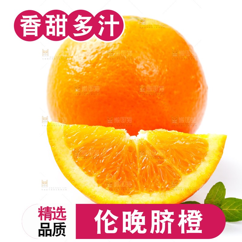 白底上放着新鲜伦晚脐橙